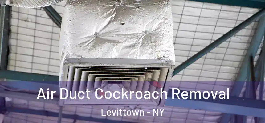 Air Duct Cockroach Removal Levittown - NY