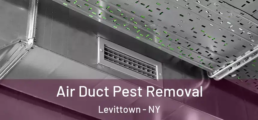  Air Duct Pest Removal Levittown - NY