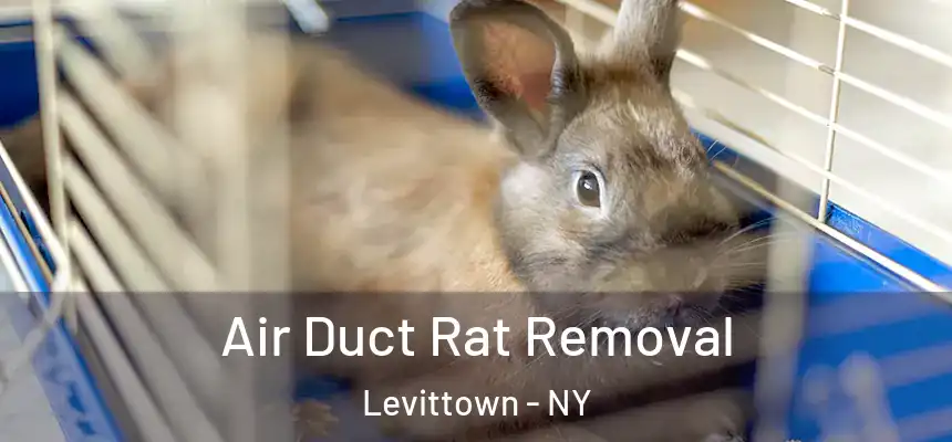 Air Duct Rat Removal Levittown - NY