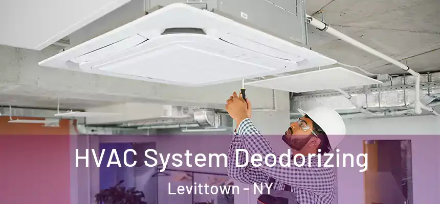 HVAC System Deodorizing Levittown - NY