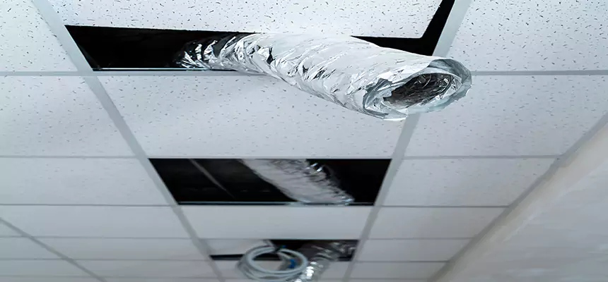 Our Air Duct Pet Hair Removal Services in Levittown, NY