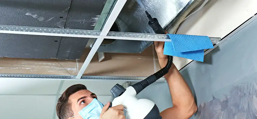 Our Air Duct Rodent Removal Services in Levittown, NY