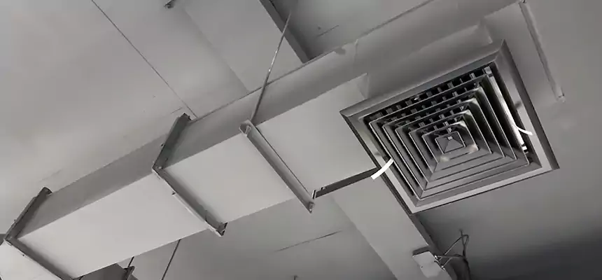 Our Rodent Droppings In Vents Services in Levittown, NY