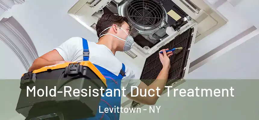  Mold-Resistant Duct Treatment Levittown - NY