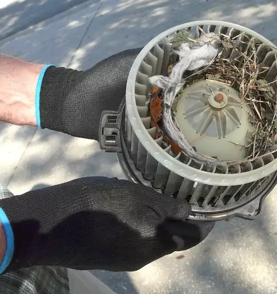 About Air Duct Mice Removal in Levittown, NY