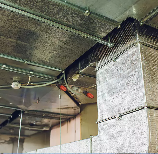 Why Homeowners & Businesses Trust Us in Levittown, NY?