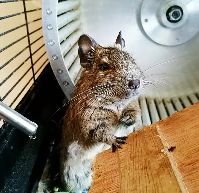 Why Homeowners & Businesses Trust Us Levittown, NY