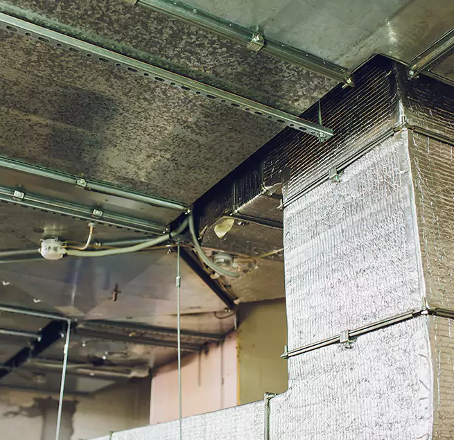 Why Homeowners & Businesses Trust Us in Levittown, NY?